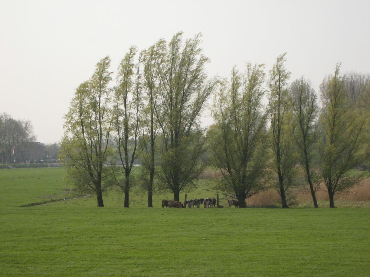 Quaint Farmhouse Near River In Oosterwijk Leerdam Eksteriør billede
